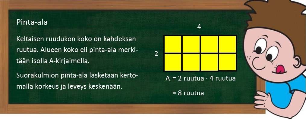 9.7 Pinta-ala