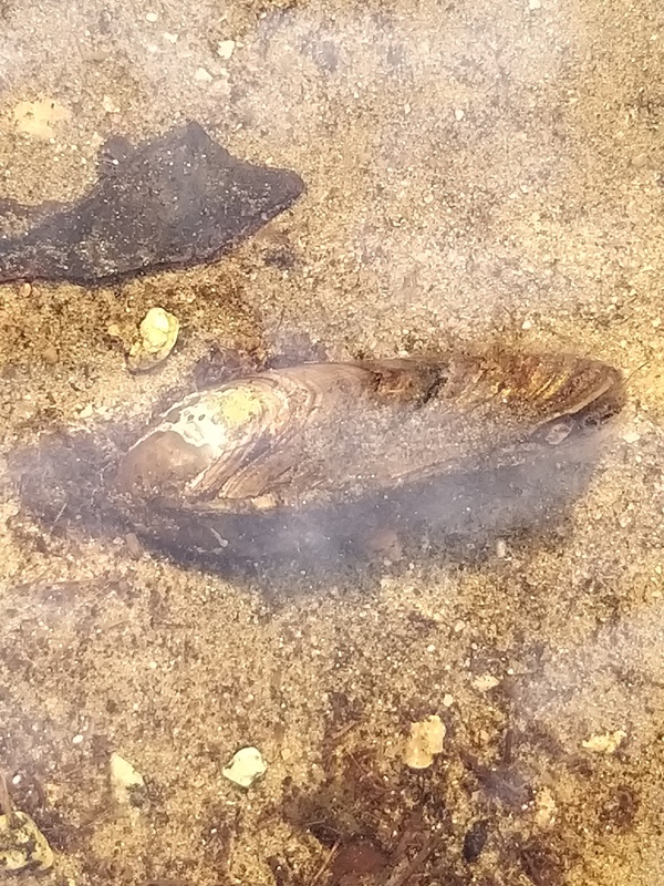 20210727_141442.jpg