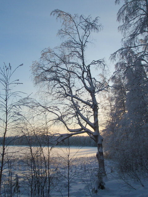 P1200286.JPG