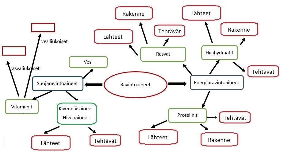 käsitekartta ravintoaineet.jpg