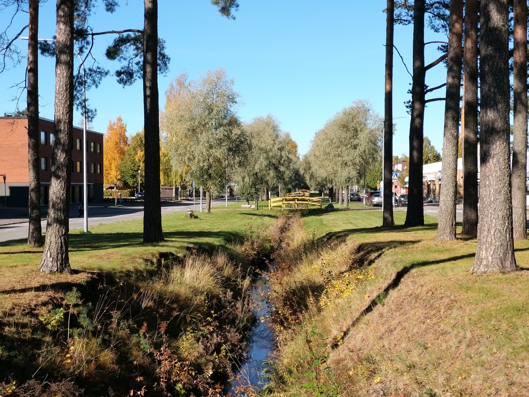 20210927_134944.jpg