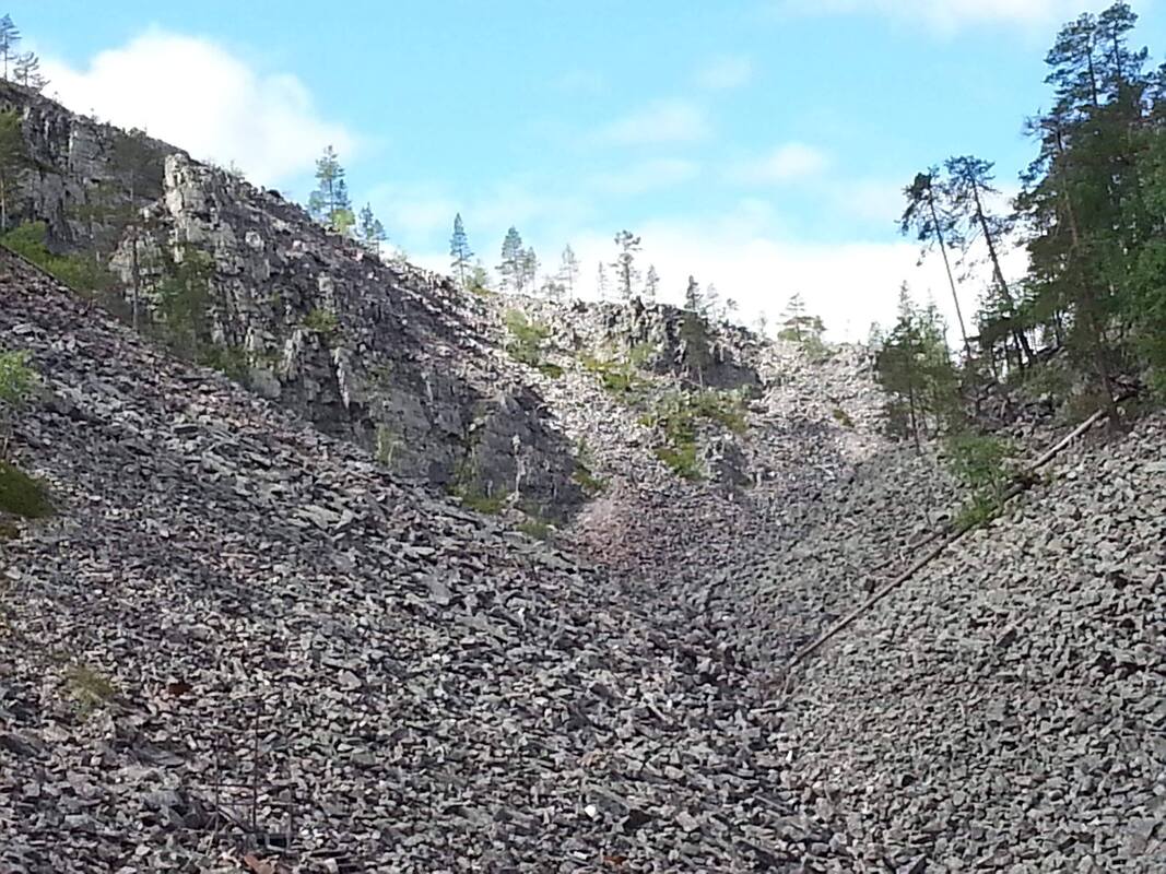20190630_124915.jpg