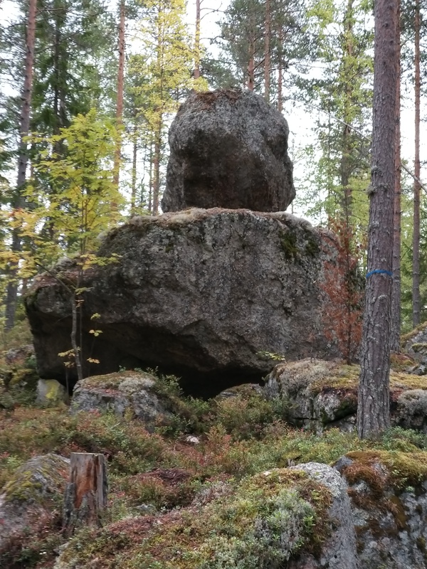 20190922_122404.jpg