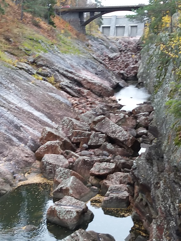 20191022_125304.jpg