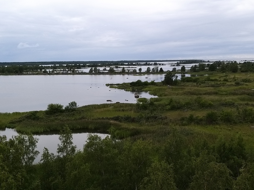 20200715_114250.jpg