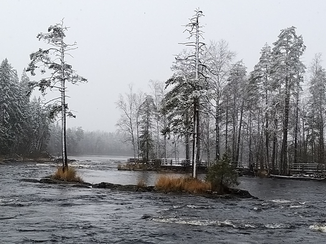 20201019_123659.jpg
