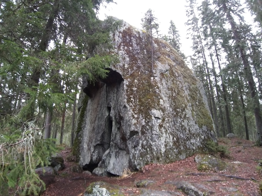 20201101_110655.jpg