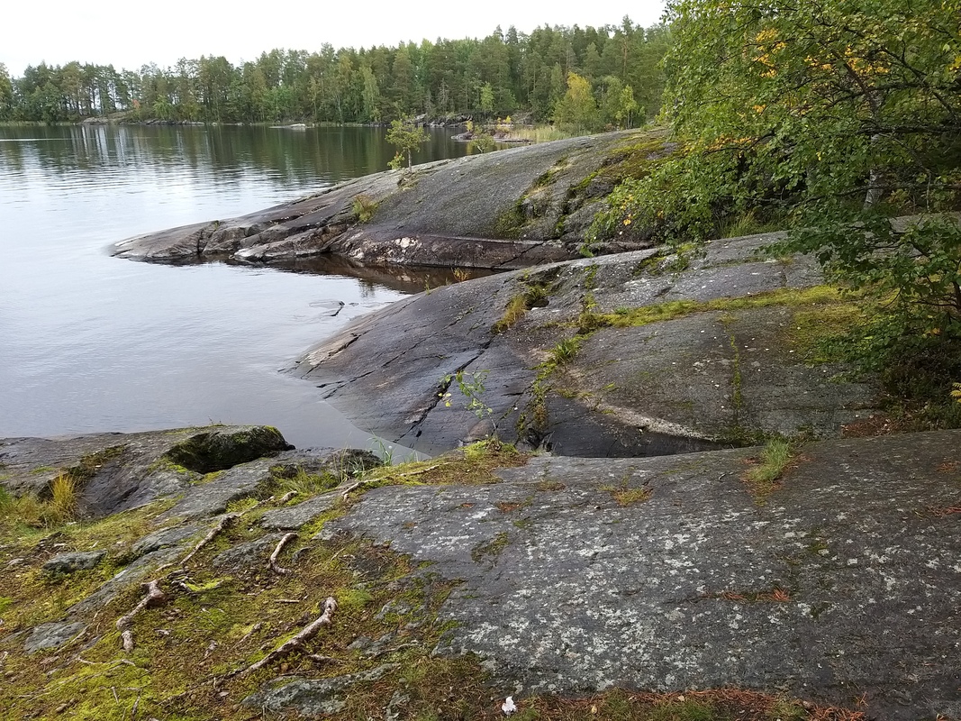 20210911_145117.jpg