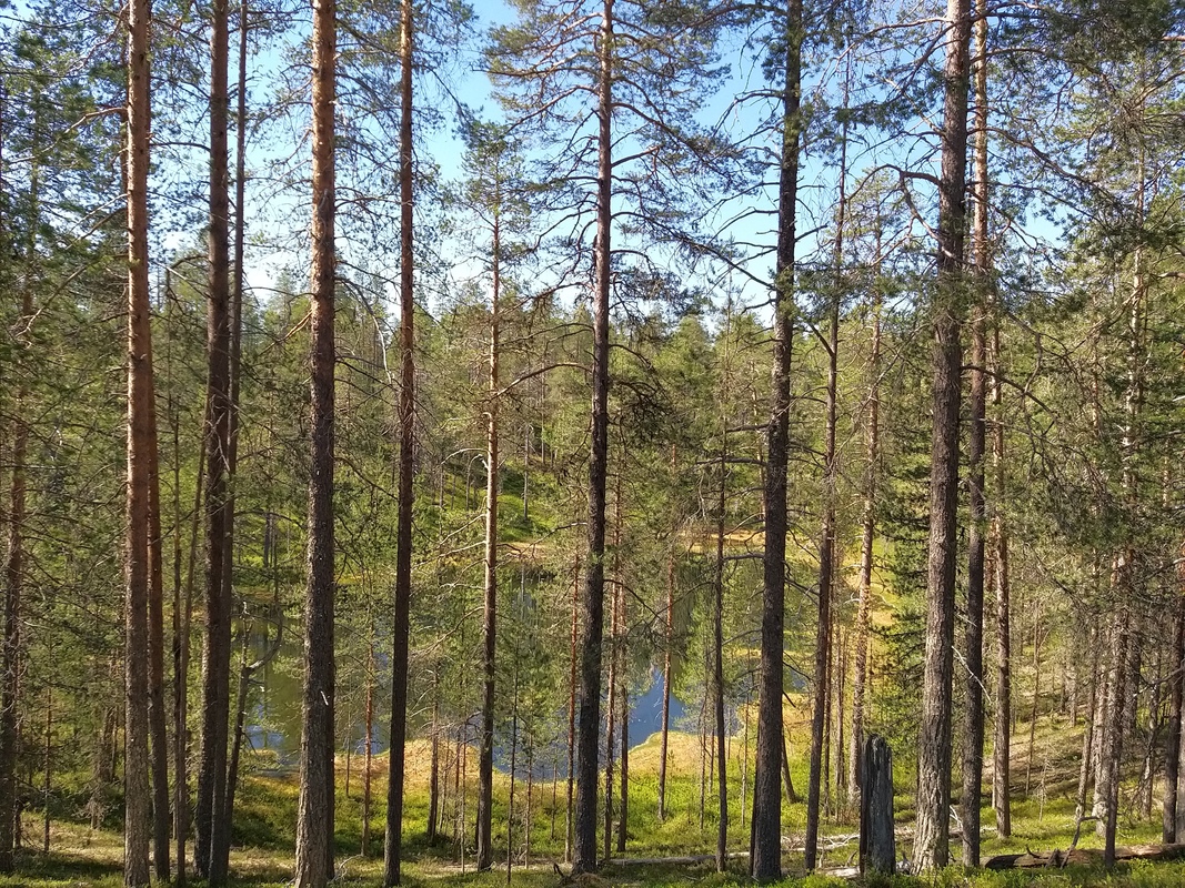 20220629_105622.jpg