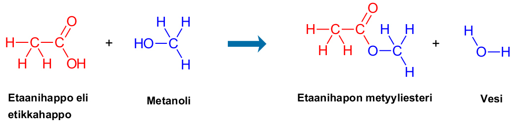 karboksyylihapot-esterit-ja-rasvat
