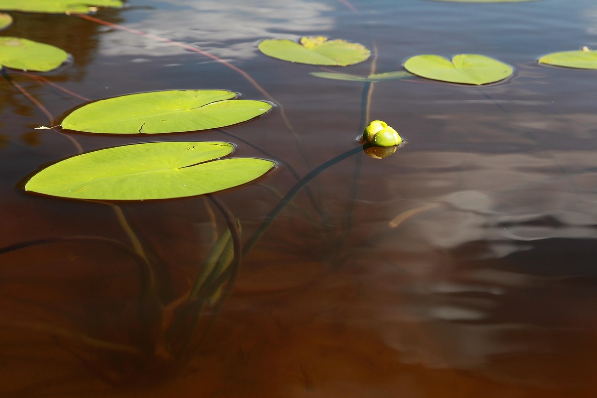 HYVÄÄ KESÄÄ!