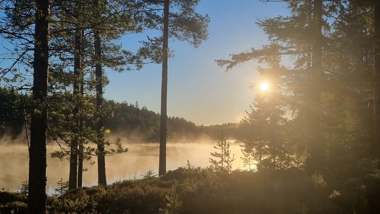TERVETULOA 3A -LUOKAN SIVULLE!