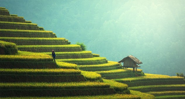 agriculture-1807581__340.jpg