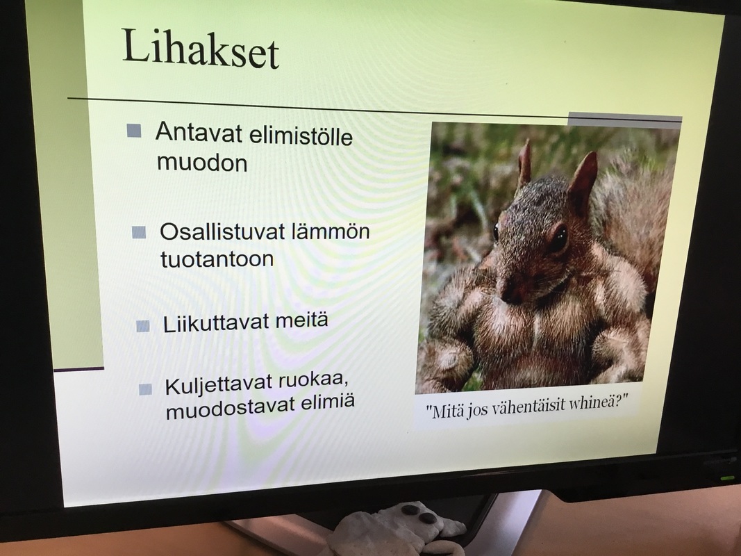Lihakset