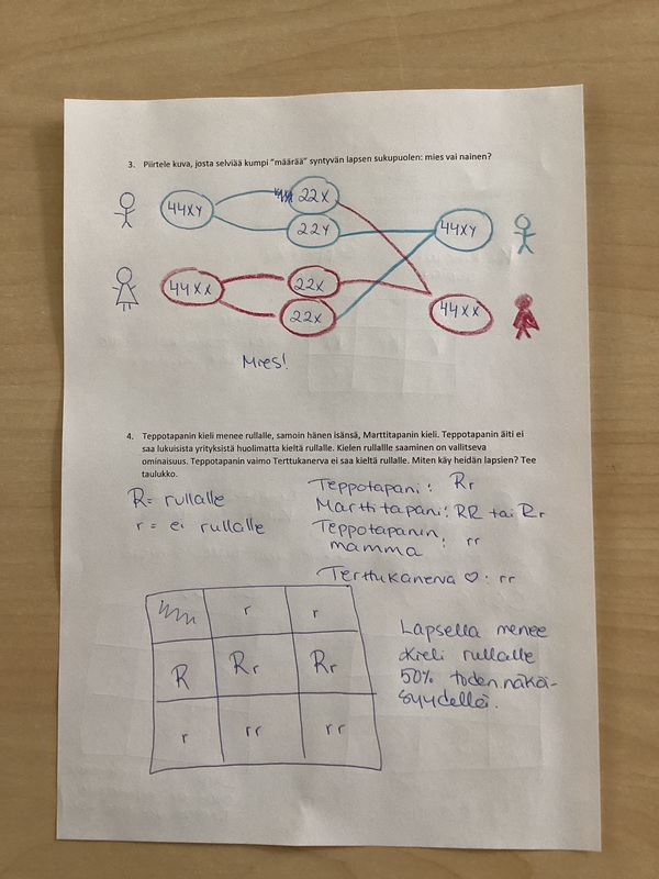 Perinn llisyyskokeen Kertausteht vien Vastaukset