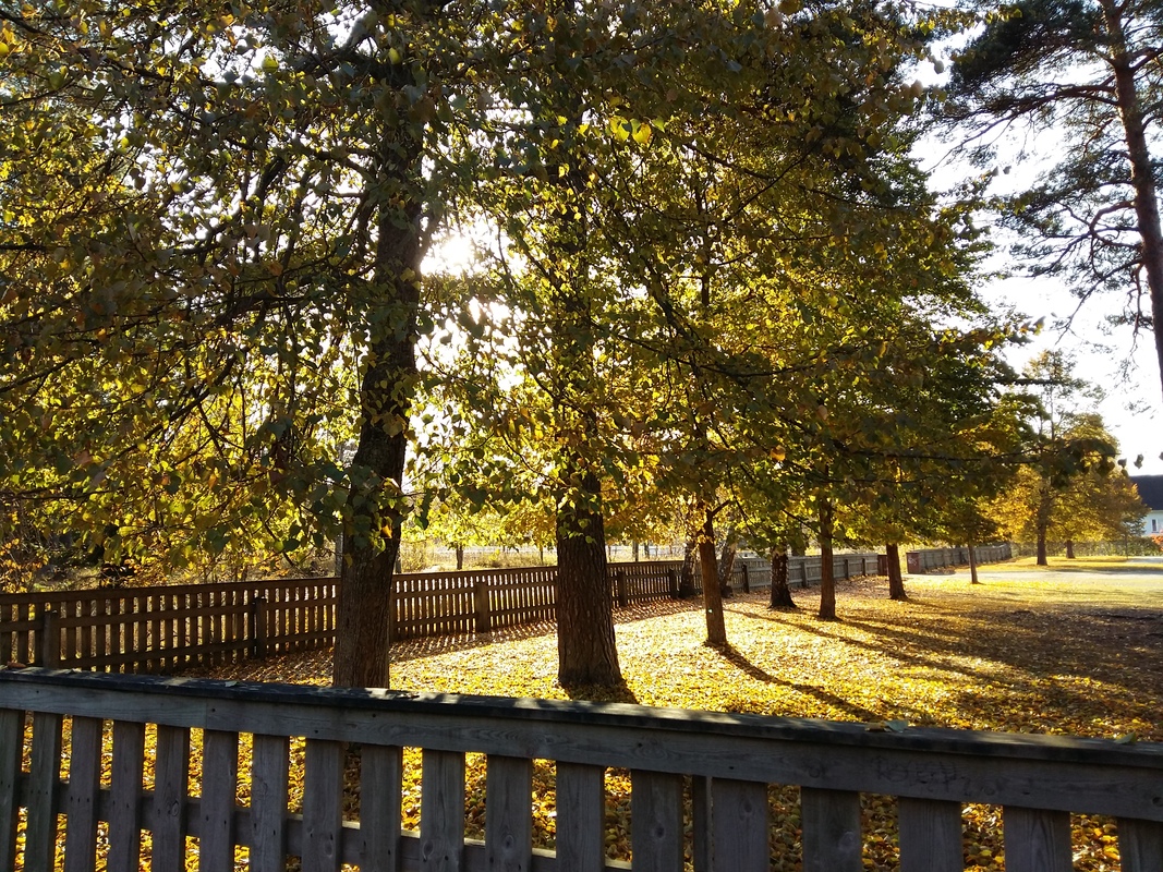 20171023_133642.jpg
