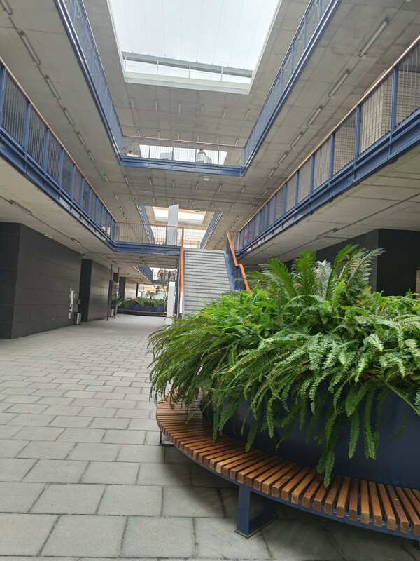 IMG20221019124958.jpg