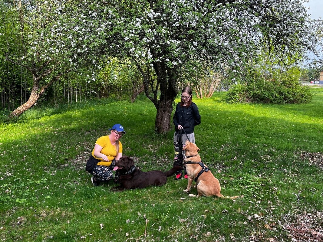 Kuvassa kaksi ihmistä ja kaksi koiraa ulkona kukkivan hedelmäpuun alla.