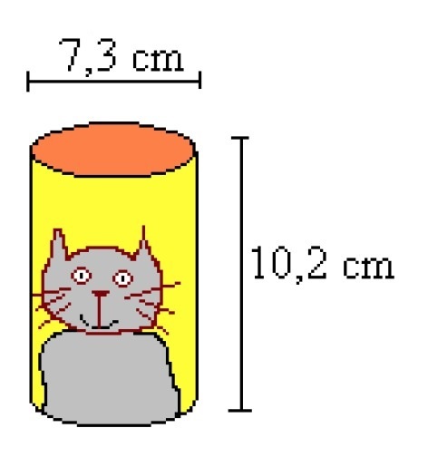 Example 1