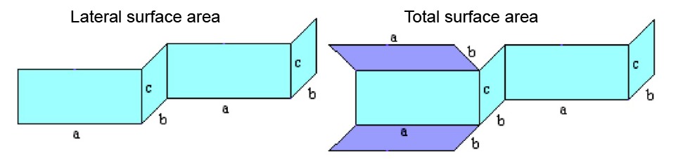 Lateral surface area and total surface area of right polyhedron