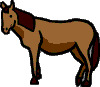 horse.gif