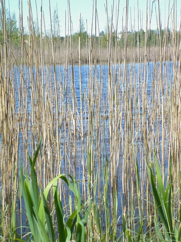 äyhönjärvi