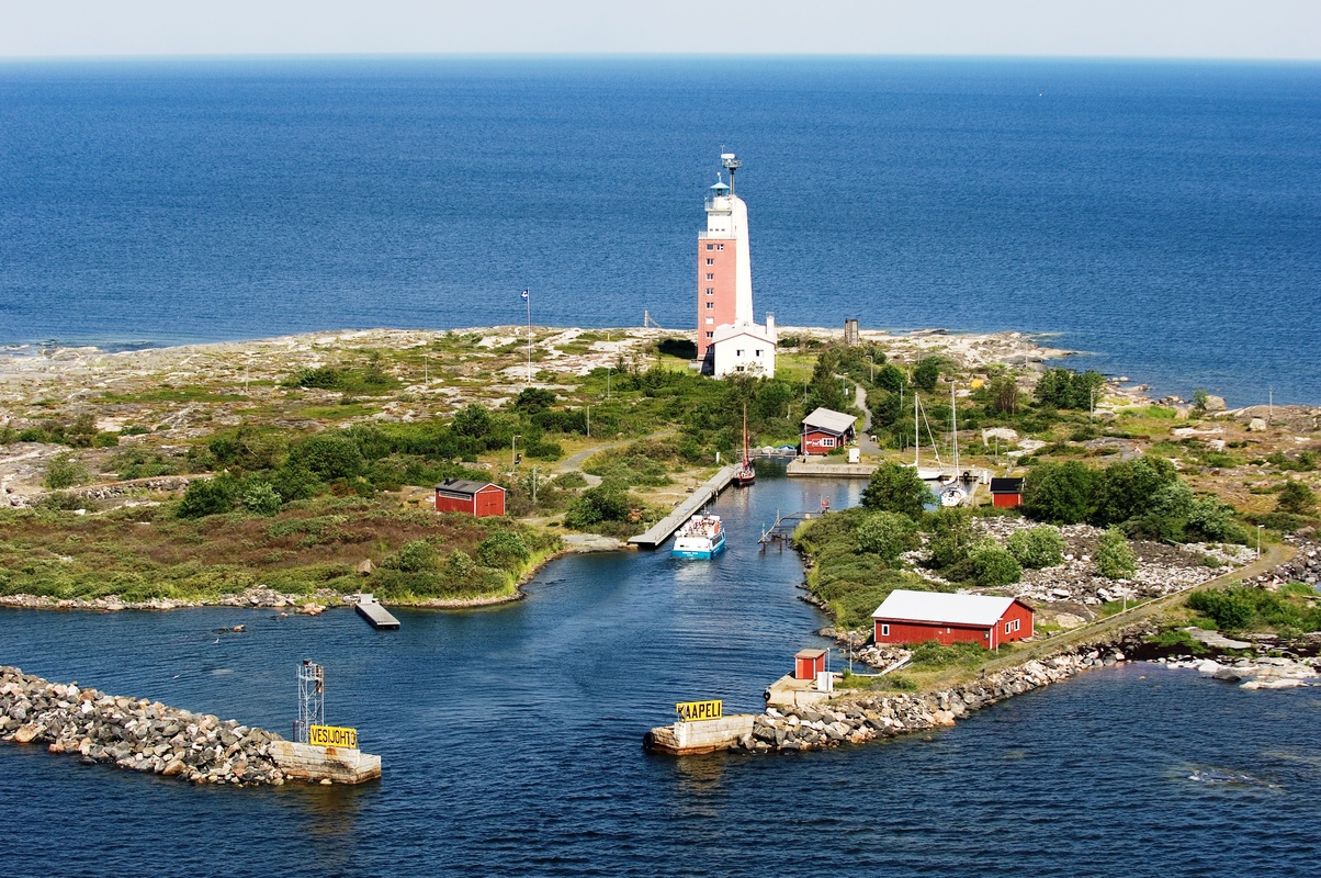 Kylmäpihlaja.jpg