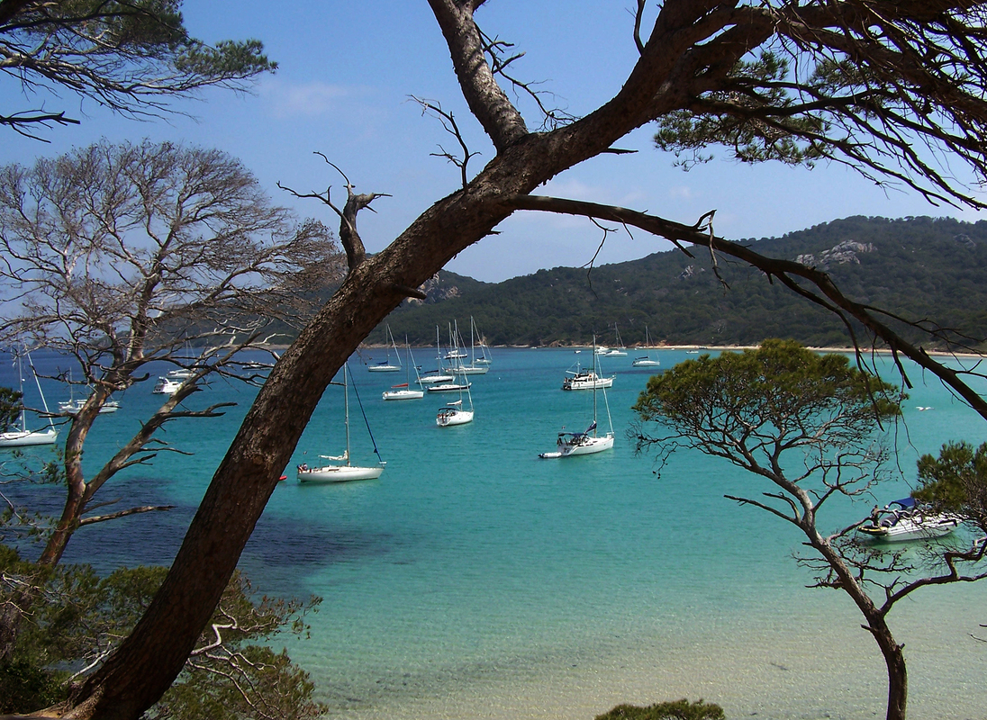 Plage-de-la-courtade.jpg