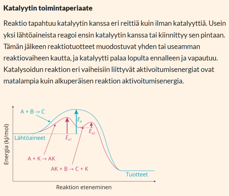 katalyytti.png