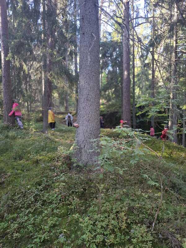 Metsäyhteys-kurssi, Vuohensaari.jpeg