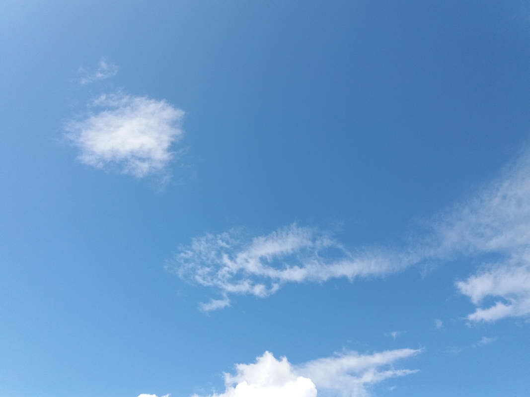 20180427_124700.jpg