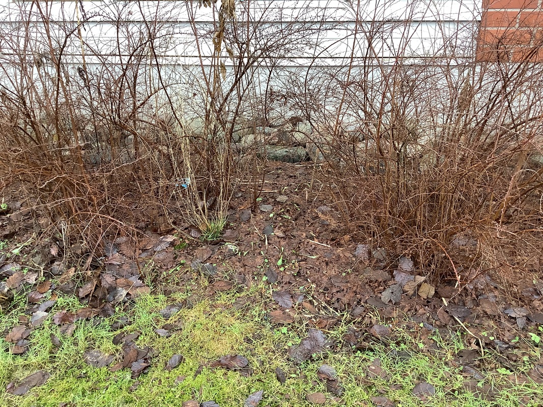 IMG_3824.jpeg