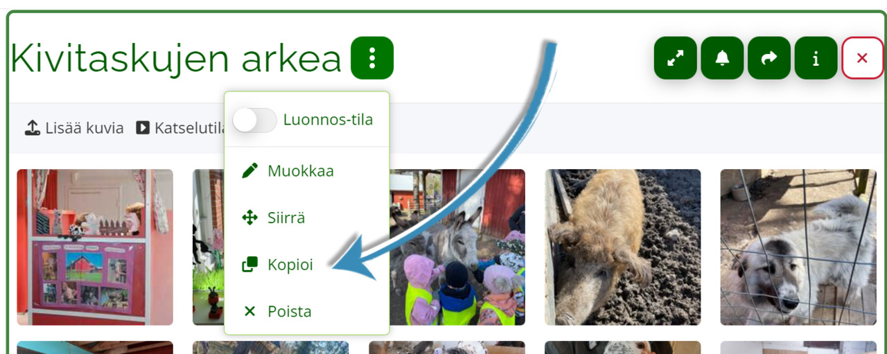 Polish_20240618_110001320.png