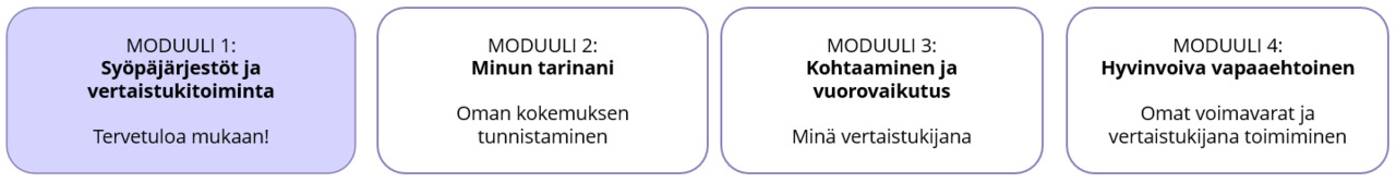 koulutuksen rakenne mod1