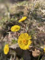 35301105-5C99-4B63-9C67-250E0E1EE881.jpeg