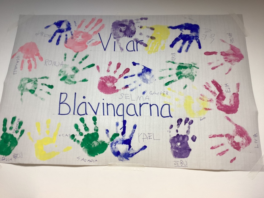 Blåvingarna 2025-2026