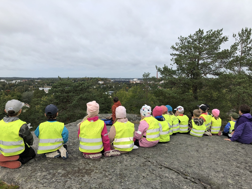 En förmiddag i skogen