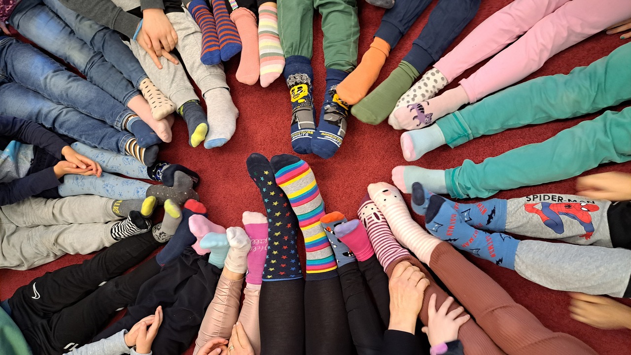 Rocka sockorna