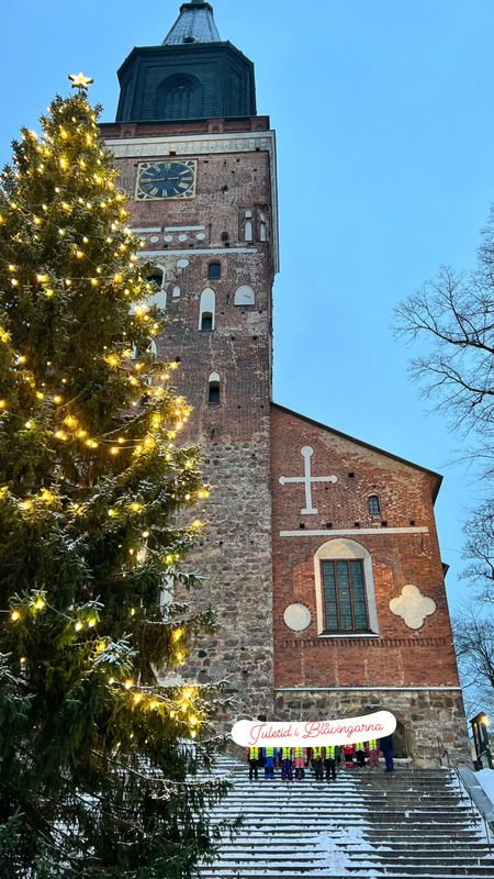 Sköna juletid ✨