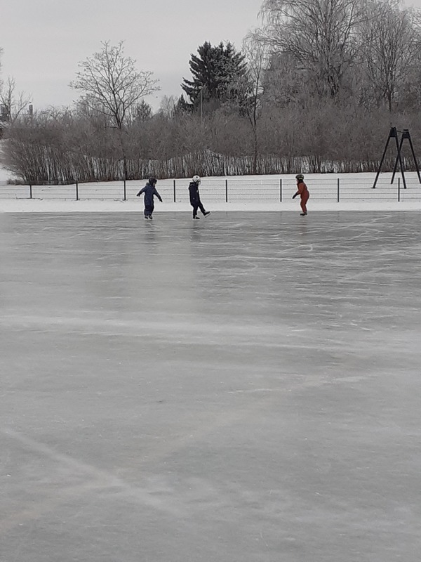 20260217_101333.jpg