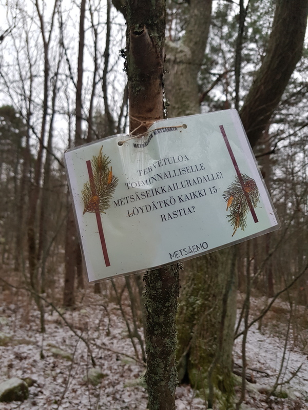 Vi hittade en skogsäventyrsbana!