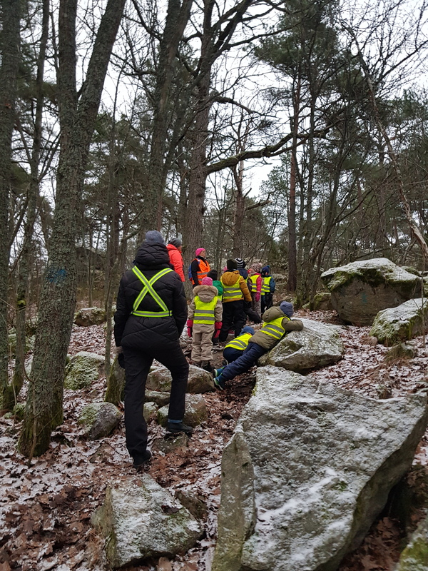 Vi går till skogen
