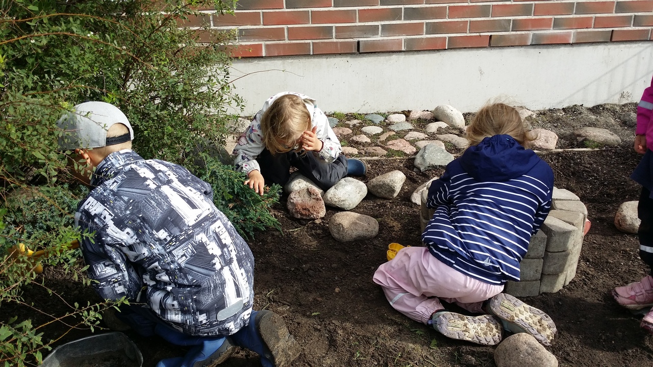 Vi söker insekter