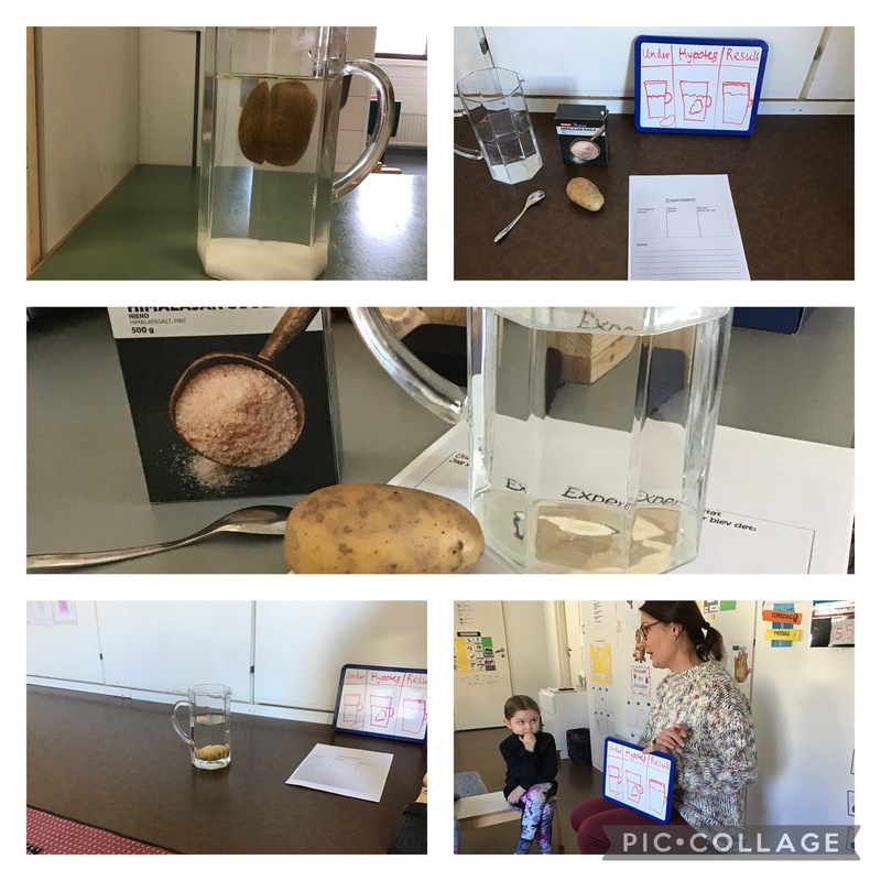 Experiment i kemi o fysik/densitet och kemiska reaktioner