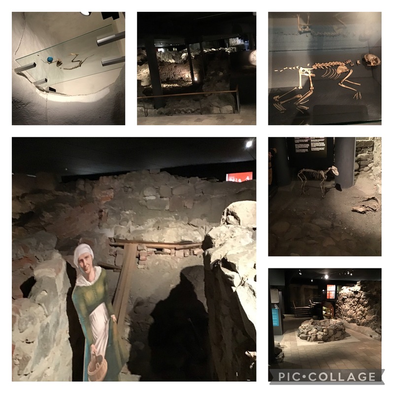 Guidning på Aboa Vetus 14.3