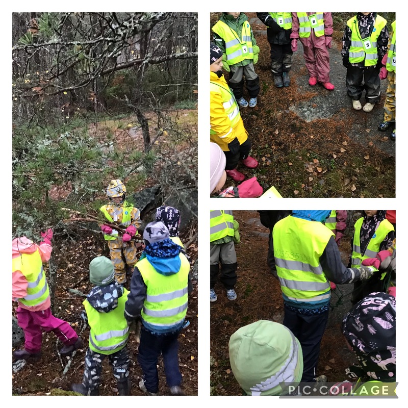 Naturutflykt till Katarinadalen