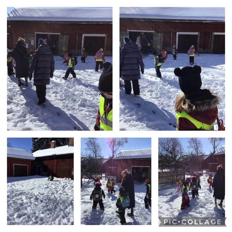 På Kurala Bybackes område rörde vi oss i 1,5 timmar. Vilket fint väder!