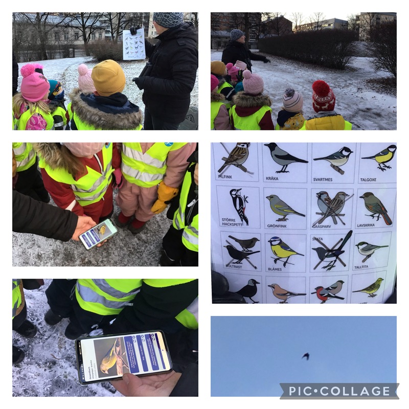 Promenad till Mikaelsparken