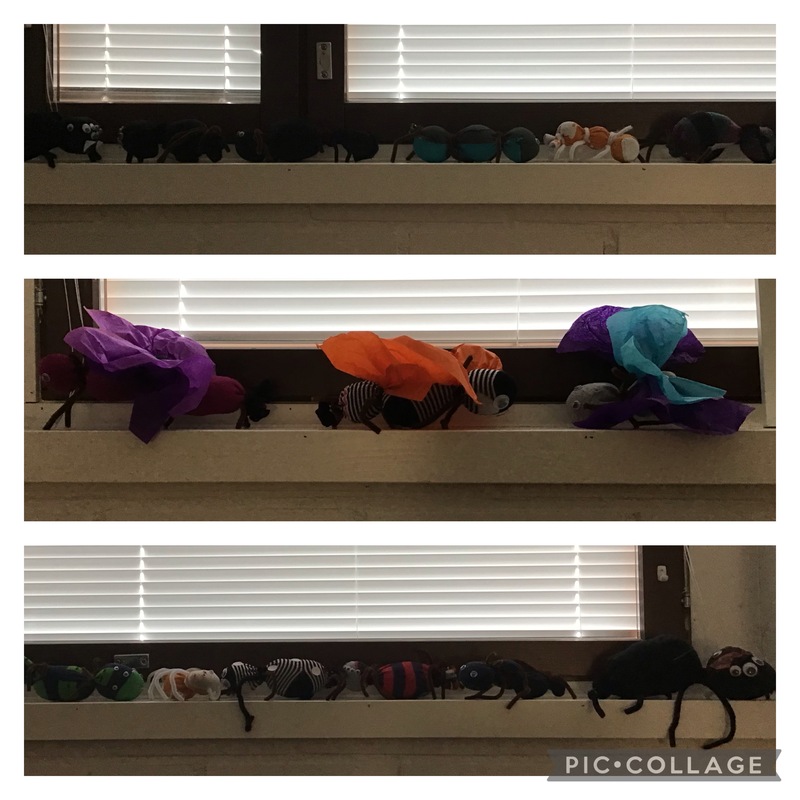 Småkrypen vilar i fönstren