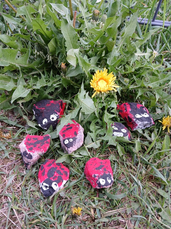 Nyckelpigor!🐞
